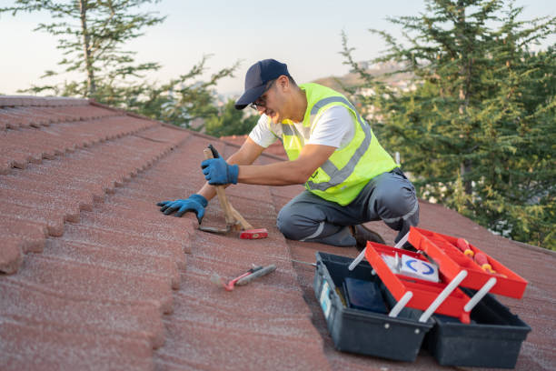 Quick and Trustworthy Emergency Roof Repair Services in Northlake, SC